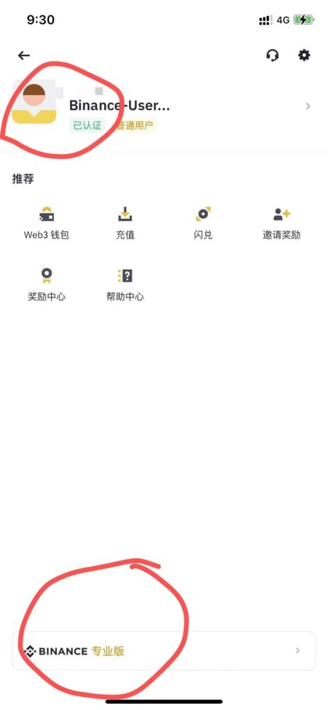 币安app里切换简版和专业版